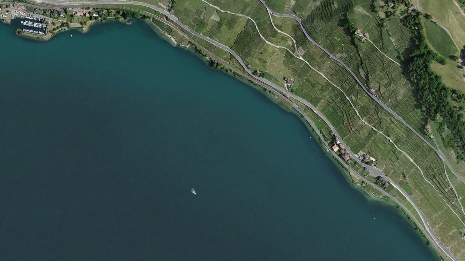 Aerial view of the Dézaley vineyard terraces on Lake Geneva, Lavaux